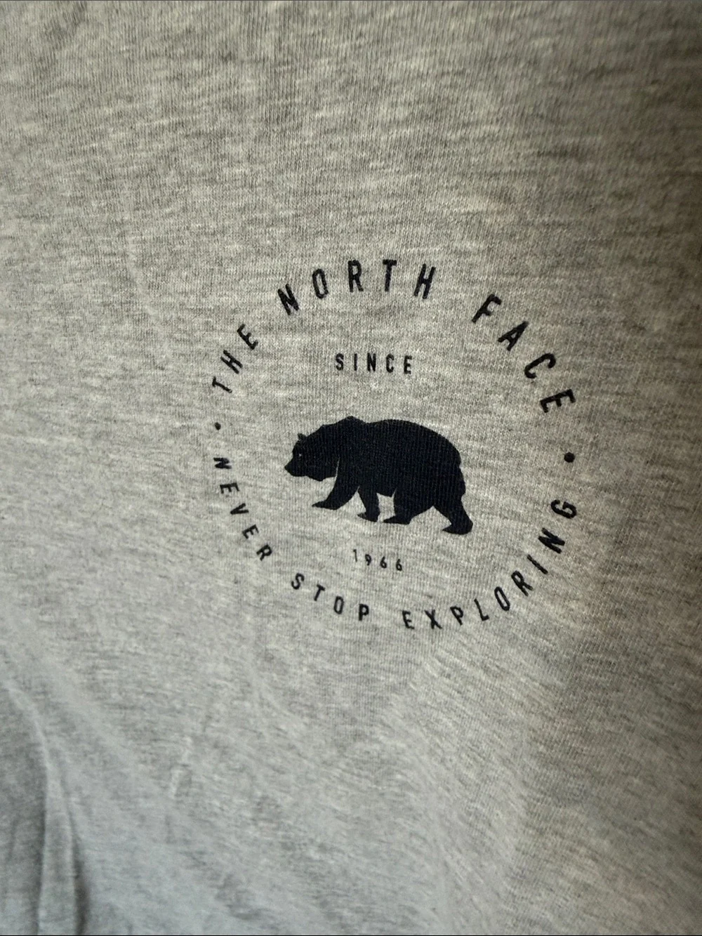 The North Face Heather Gray Short Sleeve Logo Tee with Navy Bear